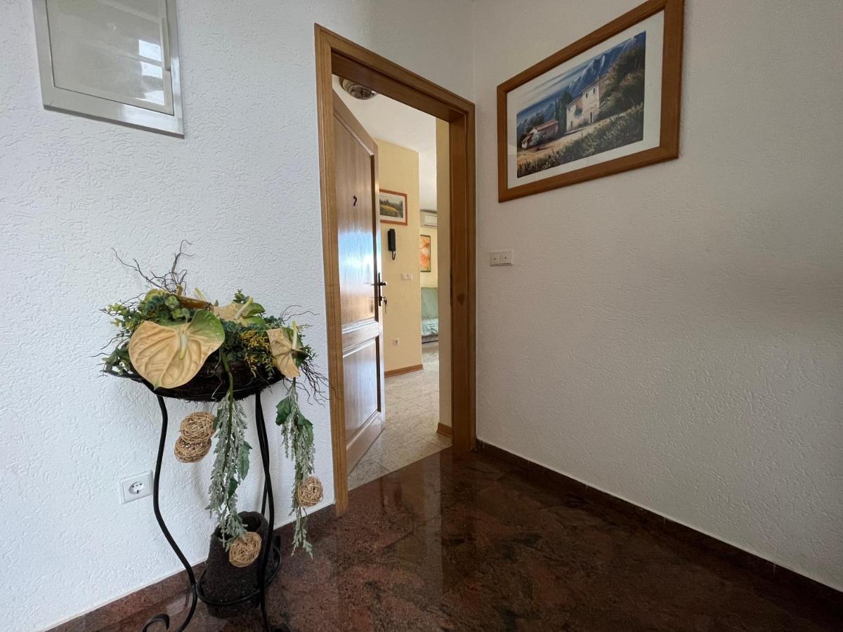 Sonne Apartment *